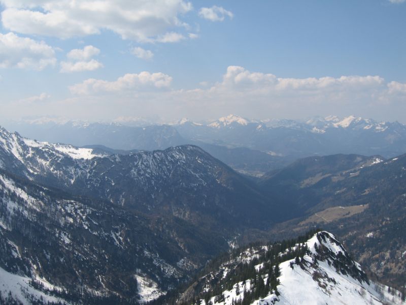 2009-04-13 Stripsenkopf (34)